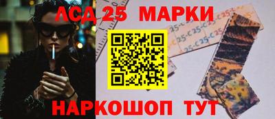 прущие грибы Ставрополь