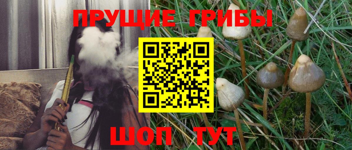Рассказово  Псилоцибиновые грибы прущие грибы  Вход с VPN 