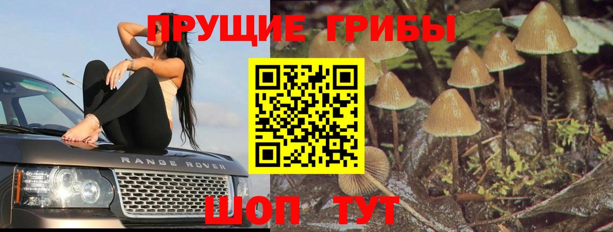 Галлюциногенные грибы прущие грибы Рассказово